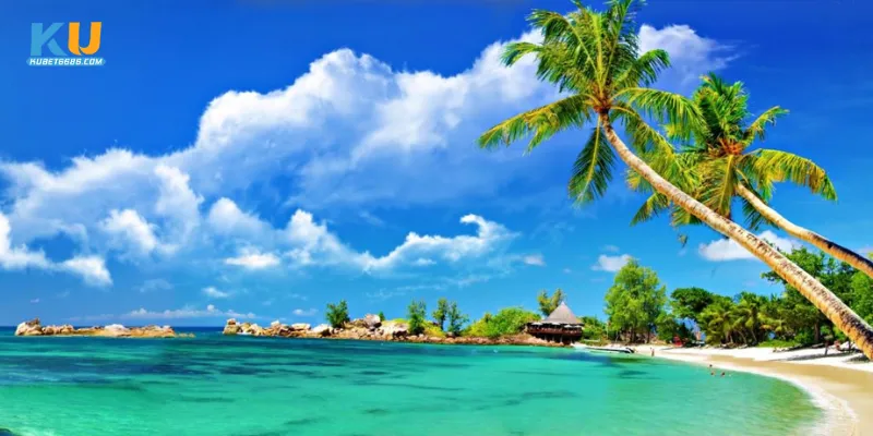 Thông điệp tổng quát từ giấc mơ thấy biển